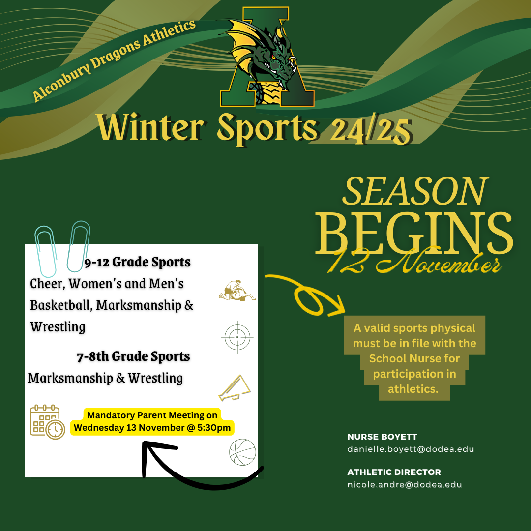 winter sports 